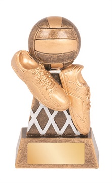 rgl253a_discount-netball-trophies.jpg