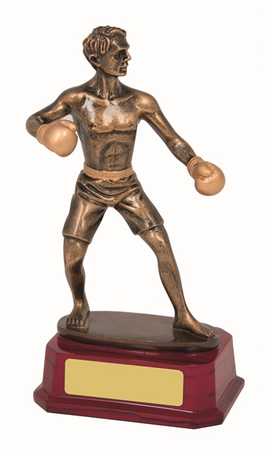 RJ361_KickBoxingTrophies.jpg