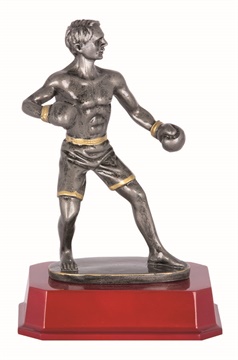 rj361asg_discount-boxing-trophies.jpg