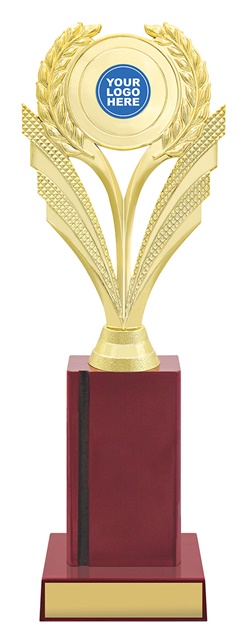 rl4103_discount-rugby-league-rugby-union-trophies.jpg
