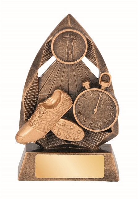 rlc456a_discount-athletics-trophies.jpg