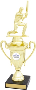 s0015_discount-cricket-trophies.jpg