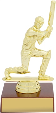 s0017_discount-cricket-trophies.jpg