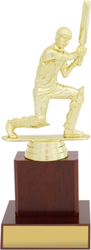 s0018_discount-cricket-trophies.jpg