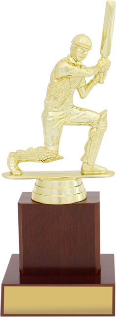 s0018_discount-cricket-trophies.jpg
