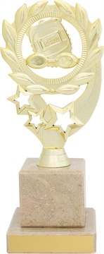 s0042_discount-swimming-trophies.jpg