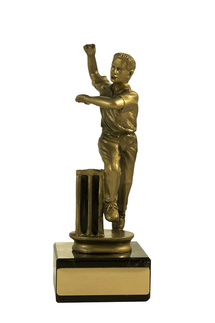 s14-0901_cricket-trophies.jpg