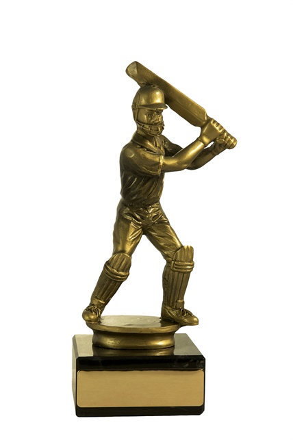 s14-0903_cricket-trophies.jpg