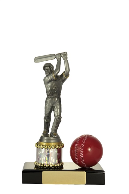 s14-1306_cricket-trophies.jpg