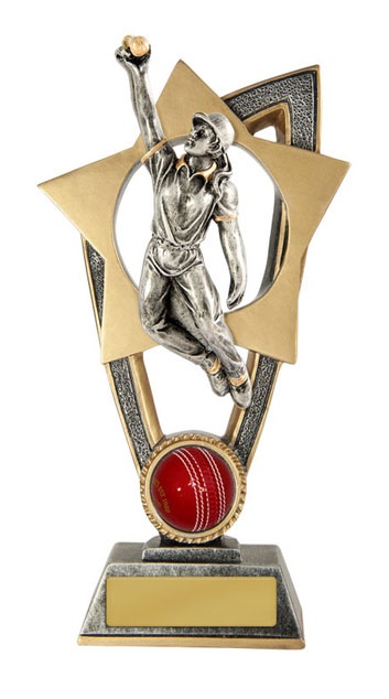 s170303a_discount-cricket-trophies.jpg