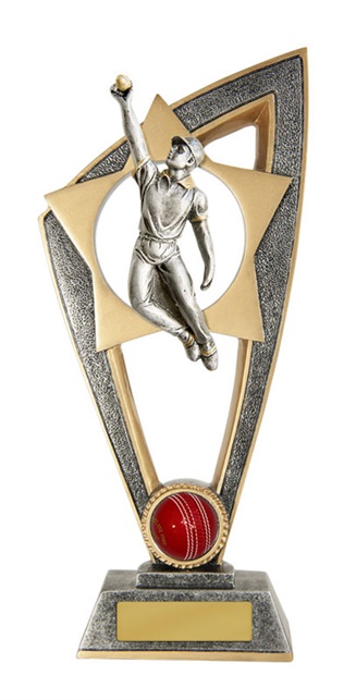 s170303a_discount-cricket-trophies.jpg