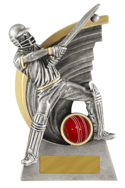 s170701a_discount-cricket-trophies.jpg