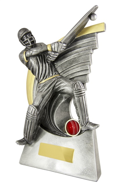 s170701a_discount-cricket-trophies.jpg