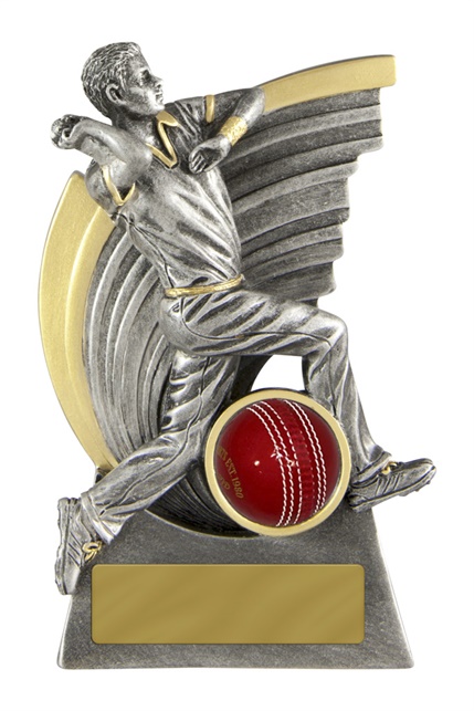 s170702a_discount-cricket-trophies.jpg