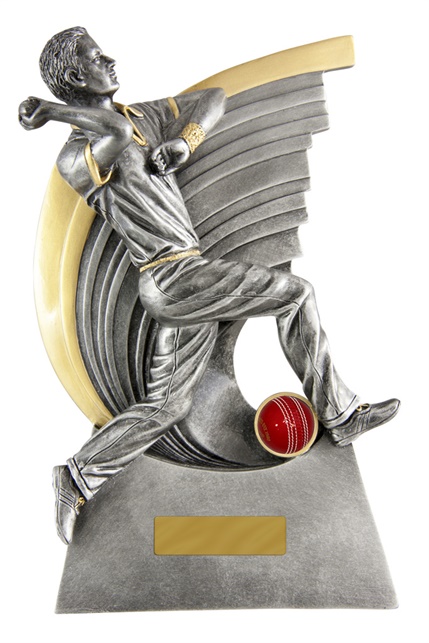 s170702a_discount-cricket-trophies.jpg