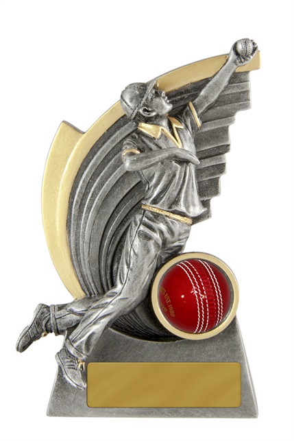 s170703a_discount-cricket-trophies.jpg