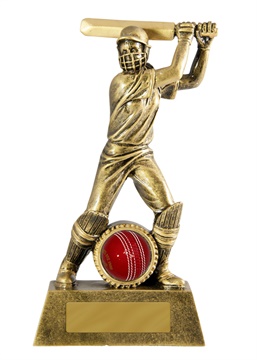 s170901a_discount-cricket-trophies.jpg