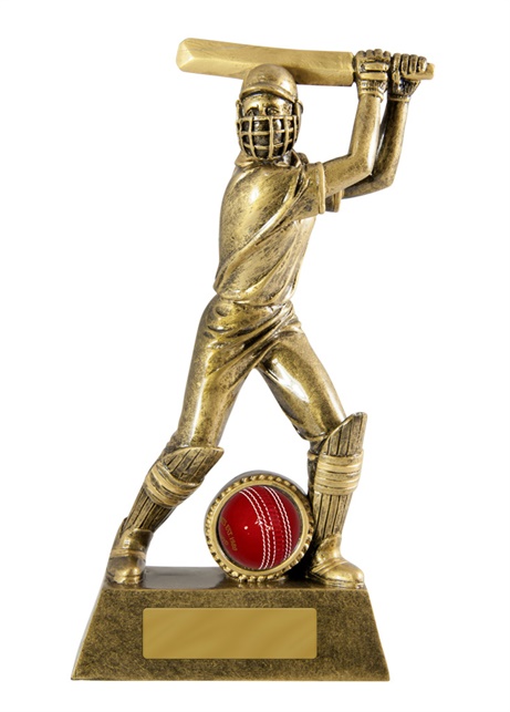 s170901a_discount-cricket-trophies.jpg