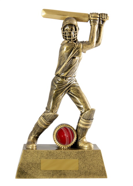 s170901a_discount-cricket-trophies.jpg