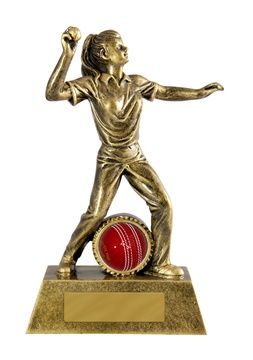 s170903a_1_discount-cricket-trophies.jpg