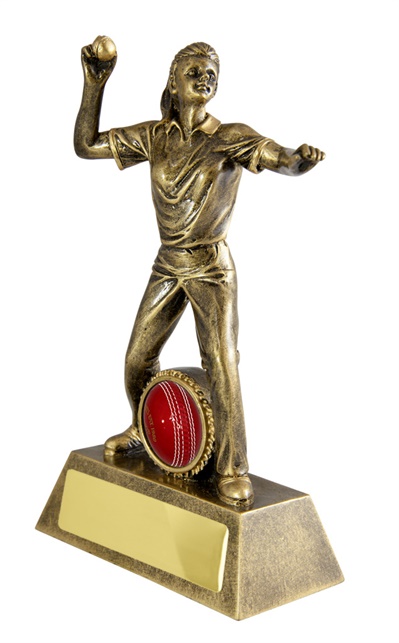 s170903a_1_discount-cricket-trophies.jpg