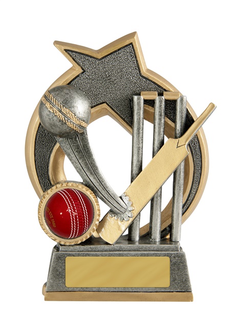 s171001a_discount-cricket-trophies.jpg