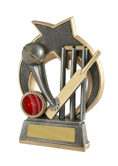 s171001a_discount-cricket-trophies.jpg