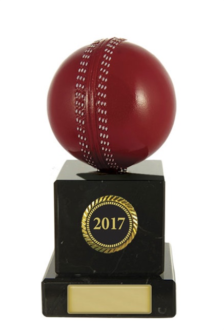 s171301a_discount-cricket-trophies.jpg