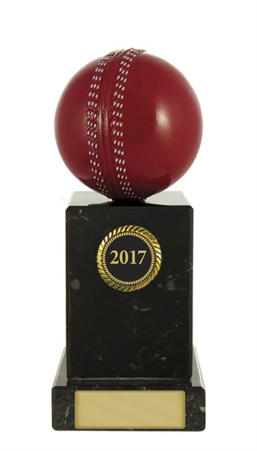 s171301a_discount-cricket-trophies.jpg