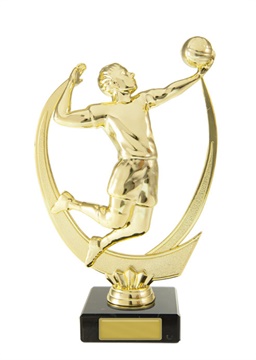s174608a_discount-volleyball-trophies.jpg