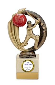 s19-0902_discount-cricket-trophies.jpg
