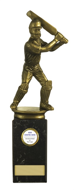 s19-1202_discount-cricket-trophies.jpg