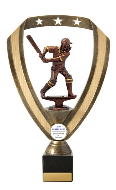s19-1225_discount-cricket-trophies-1.jpg