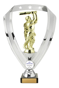 s19-1237_discount-cricket-trophies.jpg