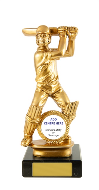 s19-1301_discount-cricket-trophies.jpg