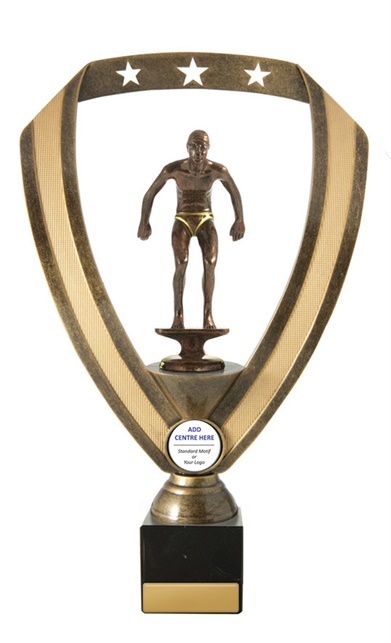 s19-2808_discount-swimming-trophies.jpg