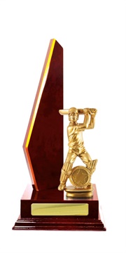 s20-1001_discount-cricket-trophies.jpg