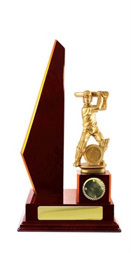 s20-1002_discount-cricket-trophies.jpg