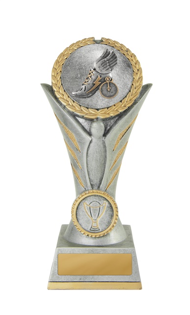 s20-3204_discount-athletics-trophies.jpg