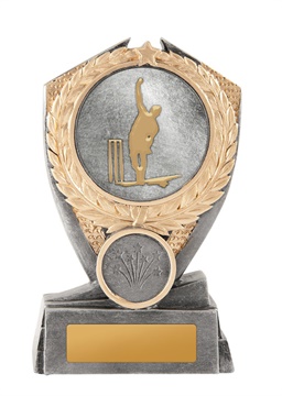 s21-0210_discount-cricket-trophies.jpg