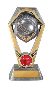 s22-2106_discount-cricket-trophies.jpg