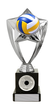 s24-20309_discount-volleyball-trophies.jpg