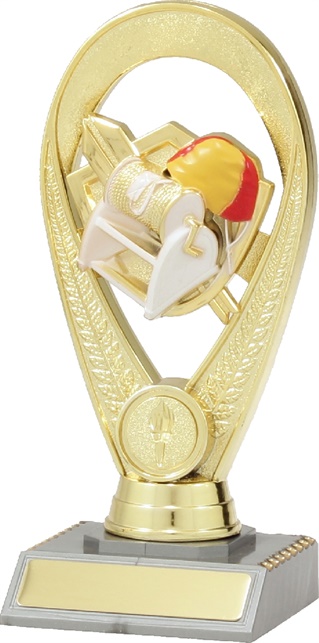 s4042_surf-lifesaving-trophies.jpg