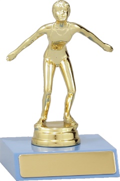 s5093_discount-swimming-trophies.jpg