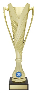 s5235_discount-cup-trophies.jpg
