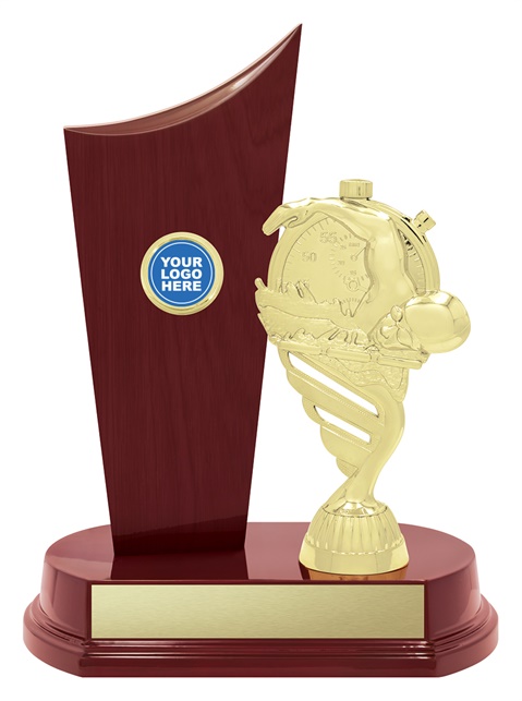 s5376discount-swimming-trophies.jpg