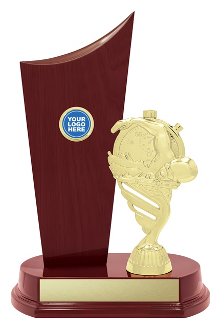 s5376discount-swimming-trophies.jpg