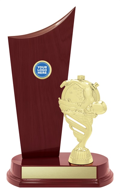 s5376discount-swimming-trophies.jpg