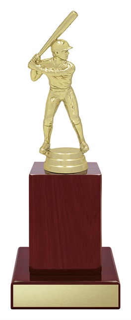 s5384_discount-baseball-softball-teeball-trophies.jpg