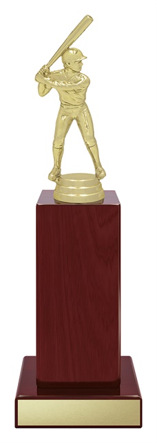 s5384_discount-baseball-softball-teeball-trophies.jpg